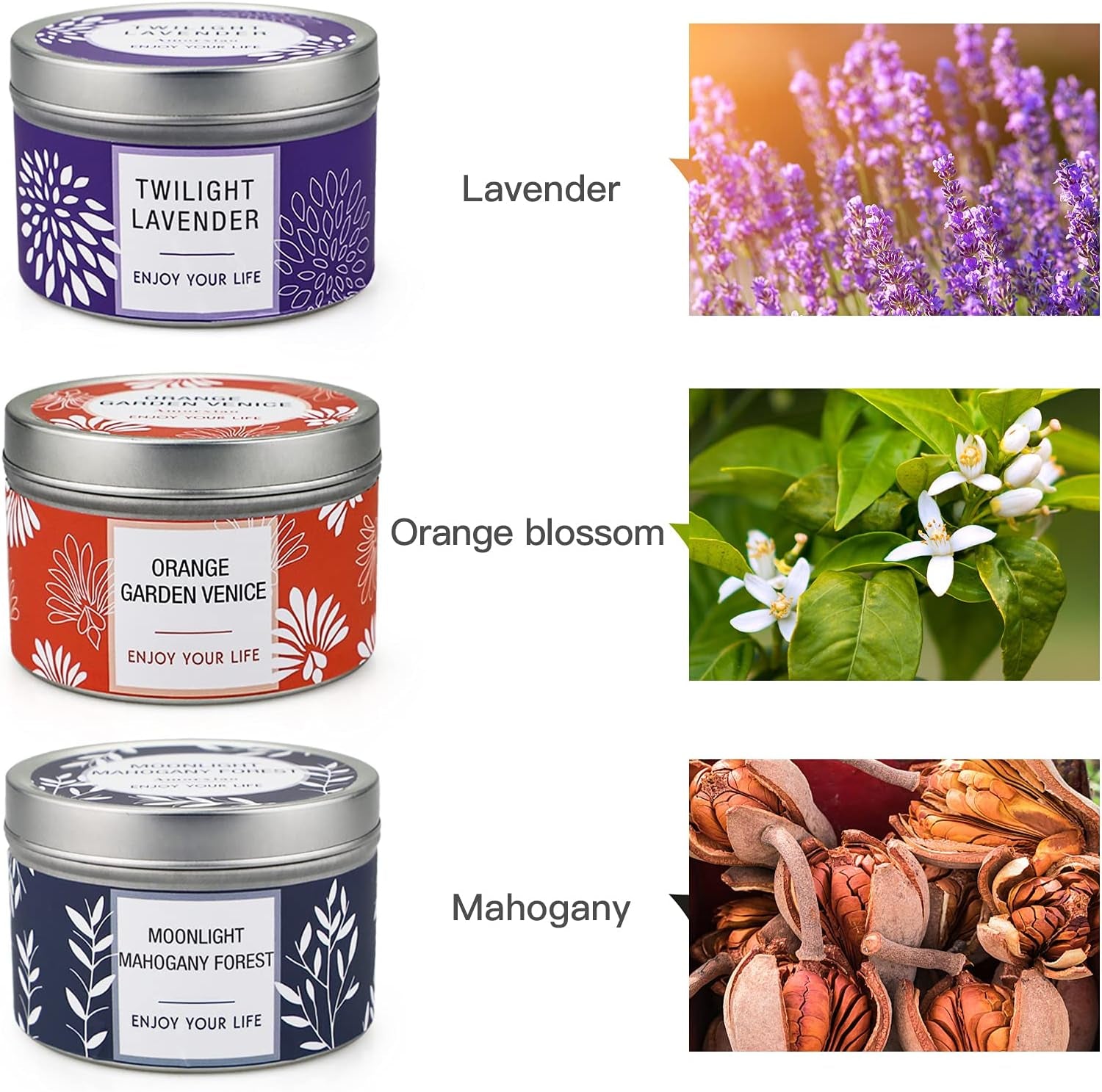 Scented Candle Gift Set for Women, 3 Pack Large Soy Wax Candles in Tins, 6.2 Oz Each, 30-35 Hr Burn, Lavender, Orange Blossom & Mahogany Woods